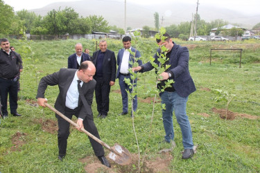 Ulu Öndər Heydər Əliyevin anadan olmasının 101 illiyi münasibətilə ağacəkmə aksiyası keçirildi.