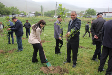 Ulu Öndər Heydər Əliyevin anadan olmasının 101 illiyi münasibətilə ağacəkmə aksiyası keçirildi.