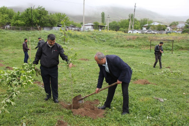 Ulu Öndər Heydər Əliyevin anadan olmasının 101 illiyi münasibətilə ağacəkmə aksiyası keçirildi.