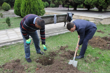 27 sentyabr – Anım Günü ilə bağlı ağacəkmə aksiyası keçirilib