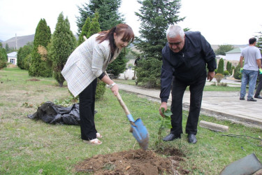 27 sentyabr – Anım Günü ilə bağlı ağacəkmə aksiyası keçirilib