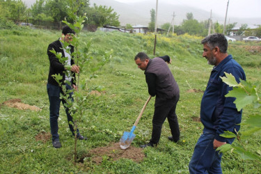 Ulu Öndər Heydər Əliyevin anadan olmasının 101 illiyi münasibətilə ağacəkmə aksiyası keçirildi.