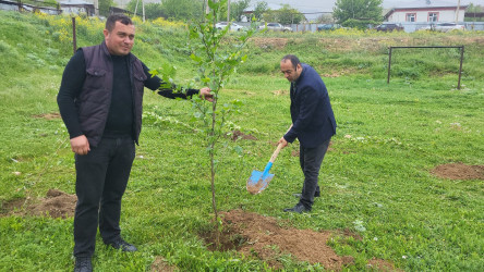 Ulu Öndər Heydər Əliyevin anadan olmasının 101 illiyi münasibətilə ağacəkmə aksiyası keçirildi.