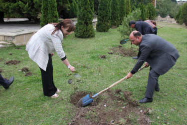27 sentyabr – Anım Günü ilə bağlı ağacəkmə aksiyası keçirilib