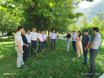 “Yaşıl dünya naminə həmrəylik ili” çərçivəsində maarifləndirici tədbir keçirilib