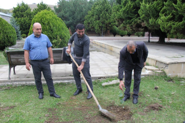 27 sentyabr – Anım Günü ilə bağlı ağacəkmə aksiyası keçirilib