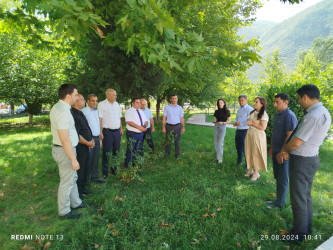 “Yaşıl dünya naminə həmrəylik ili” çərçivəsində maarifləndirici tədbir keçirilib