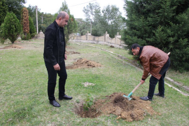 27 sentyabr – Anım Günü ilə bağlı ağacəkmə aksiyası keçirilib