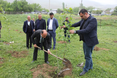 Ulu Öndər Heydər Əliyevin anadan olmasının 101 illiyi münasibətilə ağacəkmə aksiyası keçirildi.