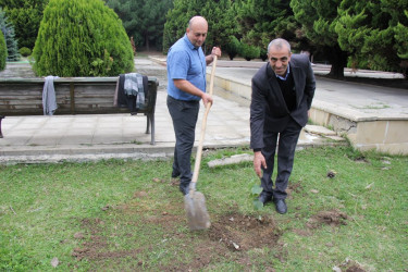 27 sentyabr – Anım Günü ilə bağlı ağacəkmə aksiyası keçirilib