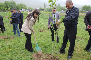 Ulu Öndər Heydər Əliyevin anadan olmasının 101 illiyi münasibətilə ağacəkmə aksiyası keçirildi.