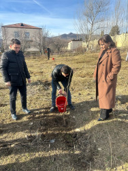 “Hərəyə bir ağac əkək” adı altında ağacəkmə aksiyası keçirildi.