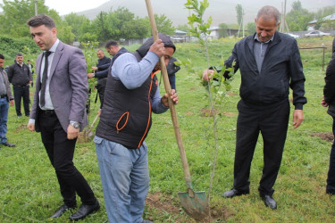 Ulu Öndər Heydər Əliyevin anadan olmasının 101 illiyi münasibətilə ağacəkmə aksiyası keçirildi.