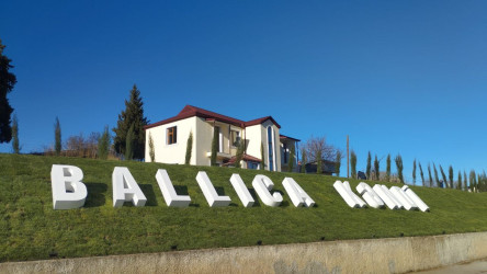 Ballıca kəndinə Böyük Qayıdış proqramı çərçivəsində ilk köç gerçəkləşib.