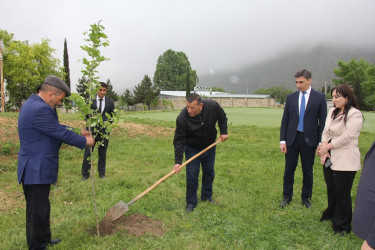 Ulu Öndər Heydər Əliyevin anadan olmasının 101 illiyi münasibətilə ağacəkmə aksiyası keçirildi.