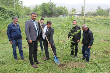 Ulu Öndər Heydər Əliyevin anadan olmasının 101 illiyi münasibətilə ağacəkmə aksiyası keçirildi.