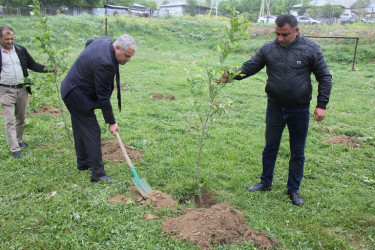 Ulu Öndər Heydər Əliyevin anadan olmasının 101 illiyi münasibətilə ağacəkmə aksiyası keçirildi.